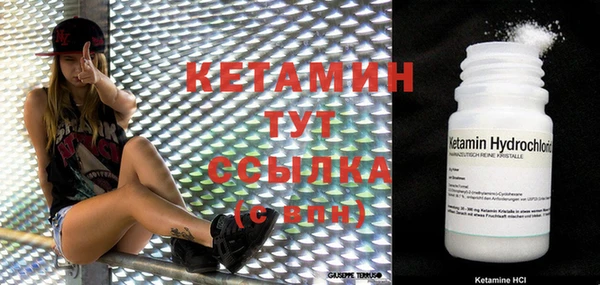 прущий лед Новозыбков