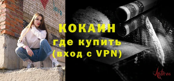 прущий лед Новозыбков